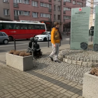 Fotka nr 5 z 6