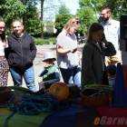 zdjęcie nr 16