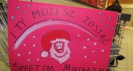 Fotka nr 0 z 9