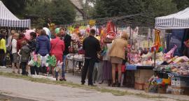 zdjęcie nr 10