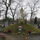 zdjęcie nr 16