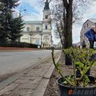 zdjęcie nr 14