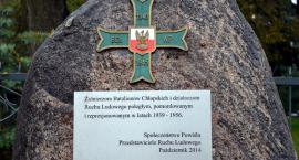 zdjęcie nr 23