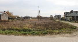 zdjęcie nr 15