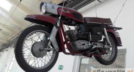zdjęcie nr 79
