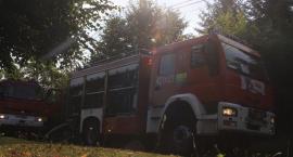 Fotka nr 5 z 18