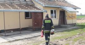 zdjęcie nr 12
