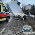 Fotka nr 5 z 7
