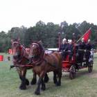 zdjęcie nr 73