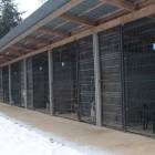 zdjęcie nr 41
