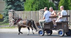 zdjęcie nr 30