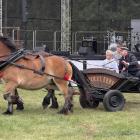 zdjęcie nr 15