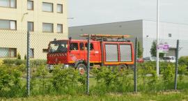 Fotka nr 5 z 14