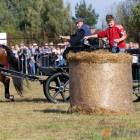 zdjęcie nr 104