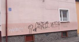 zdjęcie nr 11