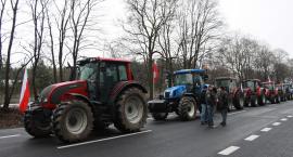 zdjęcie nr 30