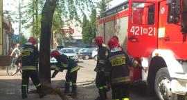 Fotka nr 3 z 17