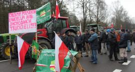 zdjęcie nr 17