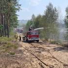 Fotka nr 5 z 11