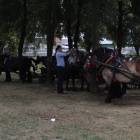 zdjęcie nr 232