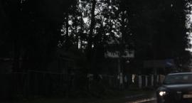 zdjęcie nr 15