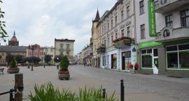 zdjęcie nr 49