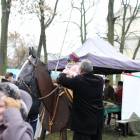 zdjęcie nr 166