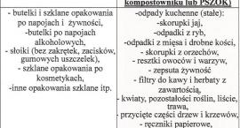 Fotka nr 3 z 4