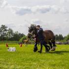 zdjęcie nr 77