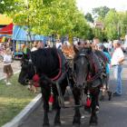 zdjęcie nr 158