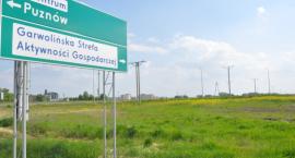 zdjęcie nr 8