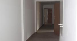 zdjęcie nr 11