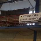 Fotka nr 0 z 136