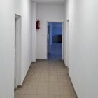 Fotka nr 4 z 7