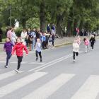 zdjęcie nr 100