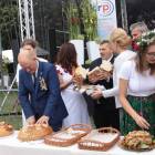 zdjęcie nr 183