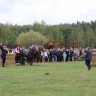 zdjęcie nr 139