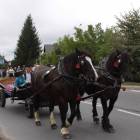 zdjęcie nr 108