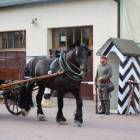 zdjęcie nr 109