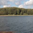zdjęcie nr 50