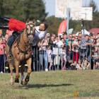 zdjęcie nr 141