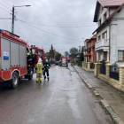 Fotka nr 5 z 12