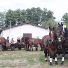 zdjęcie nr 56