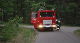 zdjęcie nr 11