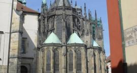 zdjęcie nr 52