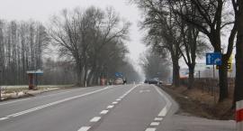 zdjęcie nr 65