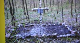 zdjęcie nr 35