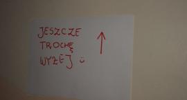 zdjęcie nr 50