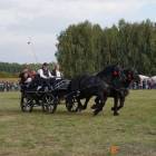 zdjęcie nr 58