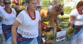 zdjęcie nr 97